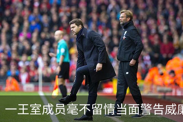一王室成员毫不留情当面警告威廉“认清自己的位置”，威廉不反驳