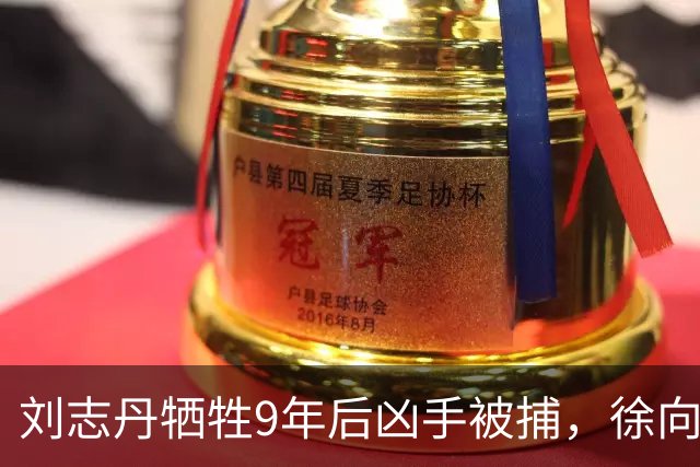 刘志丹牺牲9年后凶手被捕，徐向前下令释放：回去千万别说咱们好！
