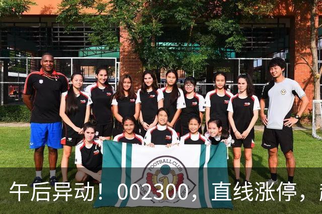 午后异动！002300，直线涨停，超70万手封单