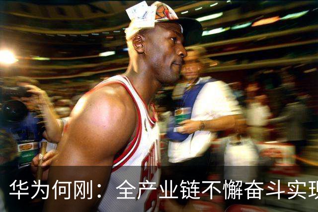 华为何刚：全产业链不懈奋斗实现Mate 60麒麟芯片回归，9030系列是半导体平面电路设计巅峰之作