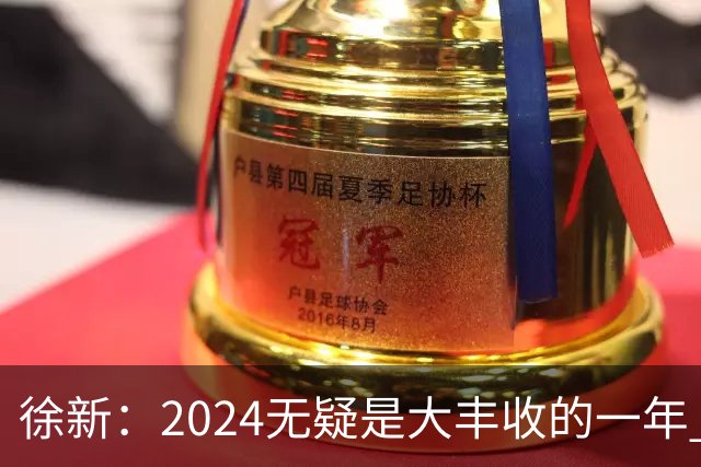 徐新：2024无疑是大丰收的一年 完美的赛季