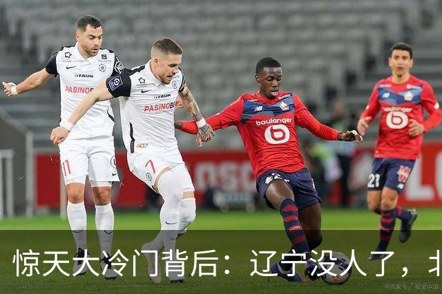 惊天大冷门背后：辽宁没人了，北京不敢动，杨鸣和李楠都在演戏？