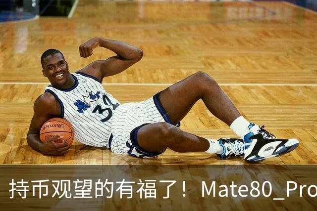 持币观望的有福了！Mate80 Pro Max价格迎来调整，晚买更省钱