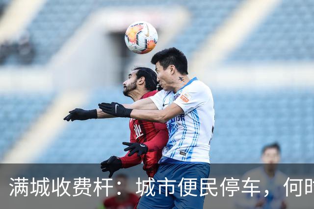 满城收费杆：城市便民停车，何时沦为全民“硬收割”？