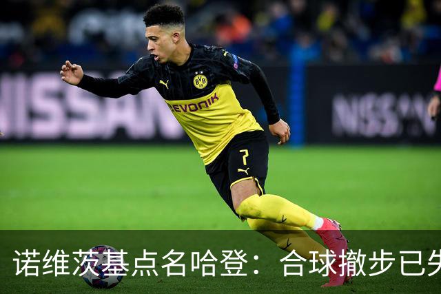 诺维茨基点名哈登：合球撤步已失控，我们那代根本没见过