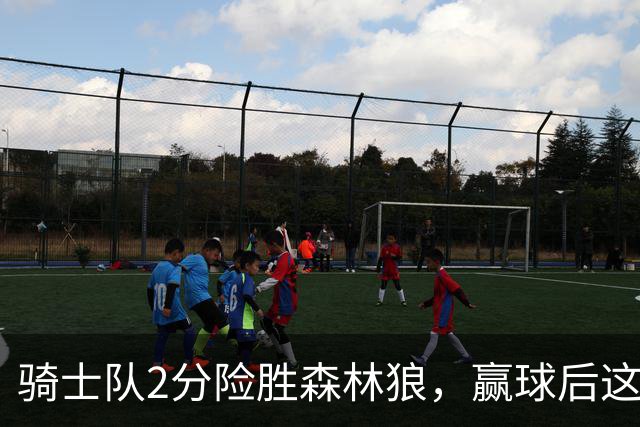 骑士队2分险胜森林狼，赢球后这3人却遭怒喷，2.24亿合同打水漂