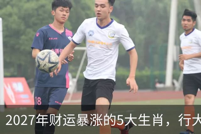 2027年财运暴涨的5大生肖，行大运发大财，顺风顺水顺财神！