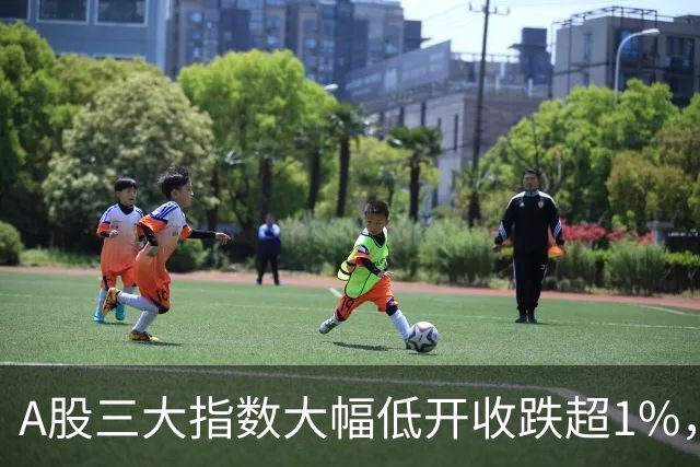 A股三大指数大幅低开收跌超1%，创业板指跌4.13%，白酒行业领涨！